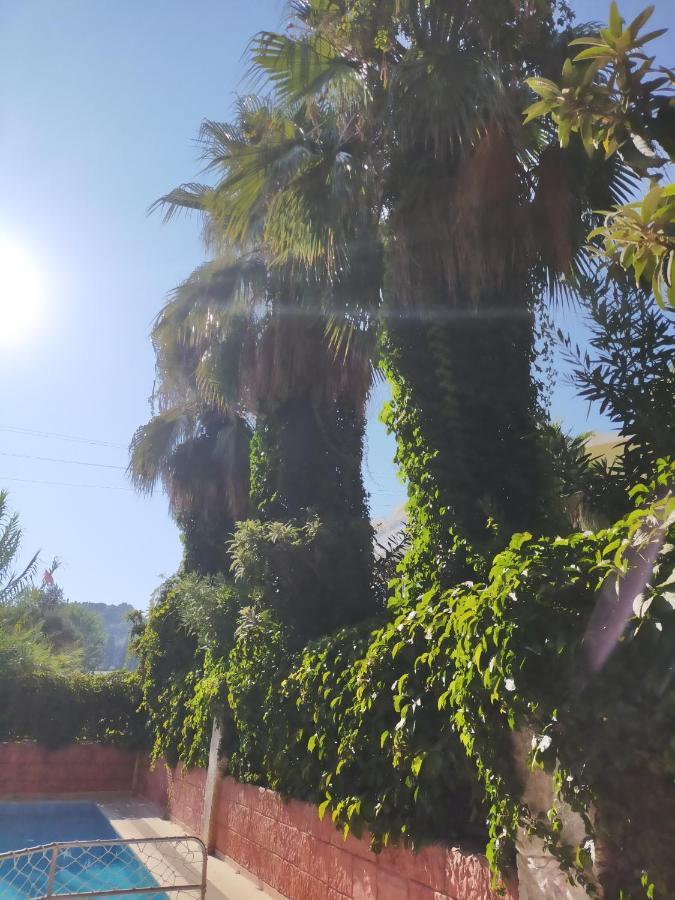 Ali Baba Otel Marmaris Exterior foto